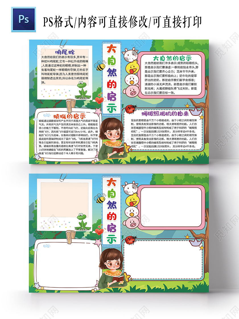 昆虫记自然笔记大自然的启示蔬菜种植观察日记小报手抄报