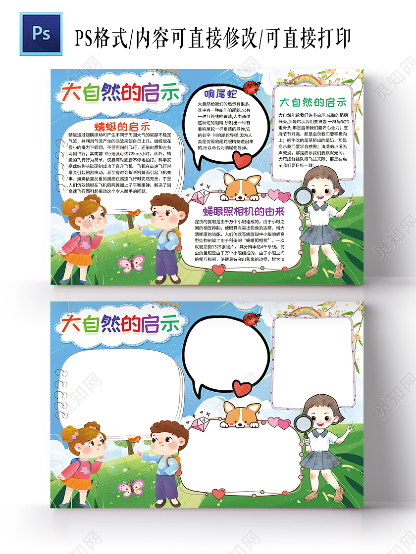 昆虫记自然笔记大自然的启示蔬菜种植观察日记小报手抄报