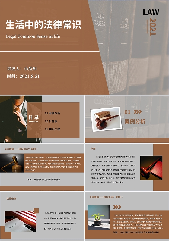 咖啡色棕色简约时尚商务生活中的法律常识培训生活中的法律常识 (2)