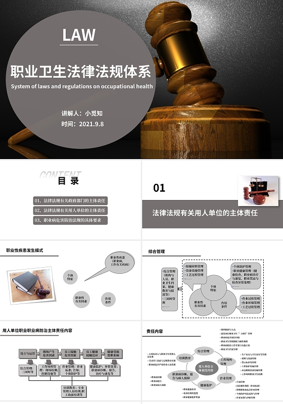 淡灰色商务简约职业卫生法律法规体系培训PPT模板职业卫生法律法规体系2