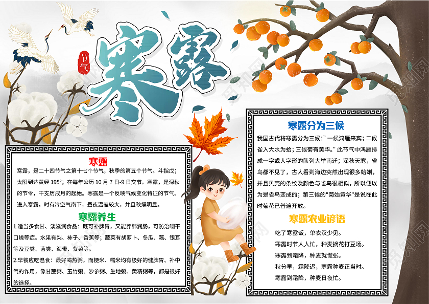 灰白色卡通寒露小报手抄报卡通小报手抄报