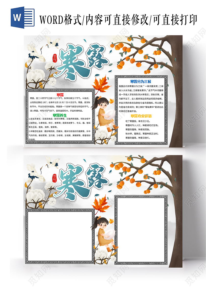 灰白色卡通寒露小报手抄报卡通小报手抄报