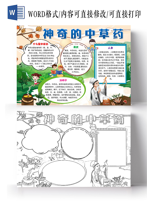 绿色卡通神奇的中草药中草药卡通小报手抄报