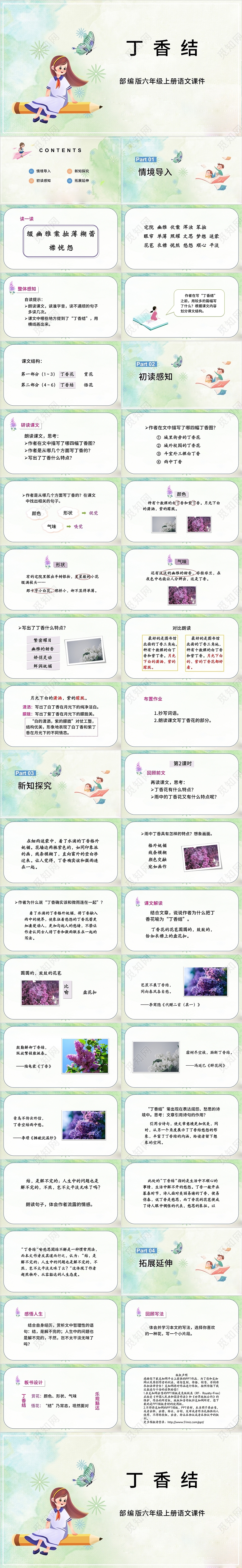 绿色卡通六年级丁香结课件PPT模板