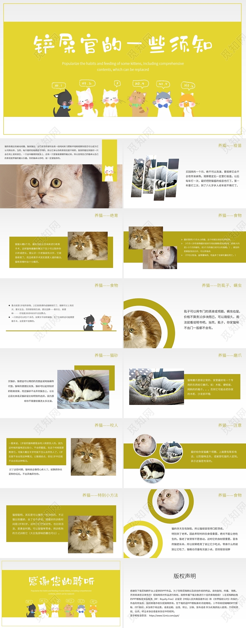 黄色卡通风铲屎官养猫知识介绍PPT课件铲屎官养猫须知小科普