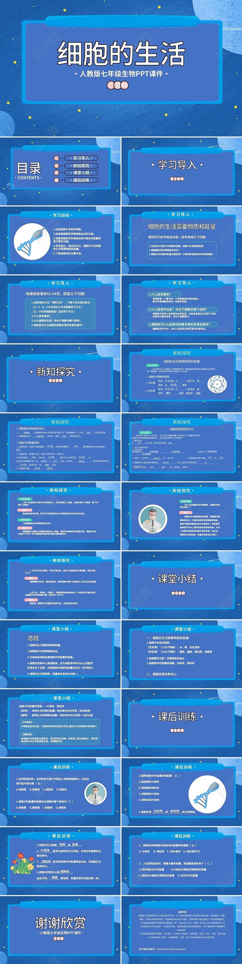 蓝色卡通动漫细胞的生活PPT模板生物课件