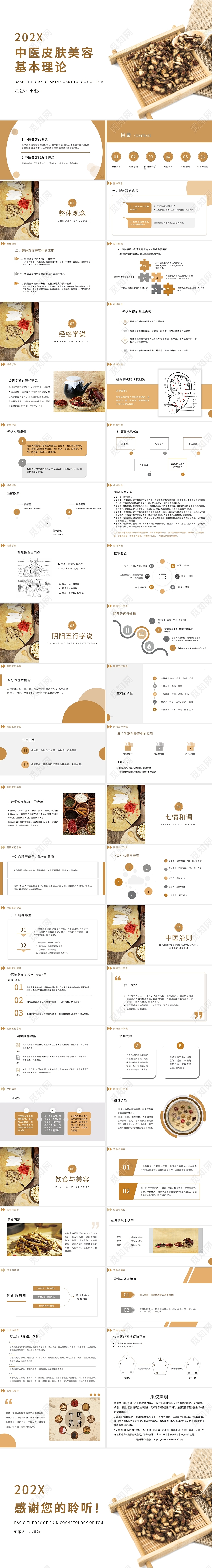 棕色简约中医皮肤美容基本理论PPT模板