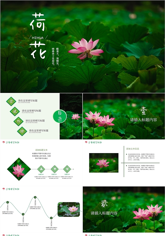 绿色粉色摄影大赛实图荷花美风景画册汇报说课教学培训PPT模板中国风荷花