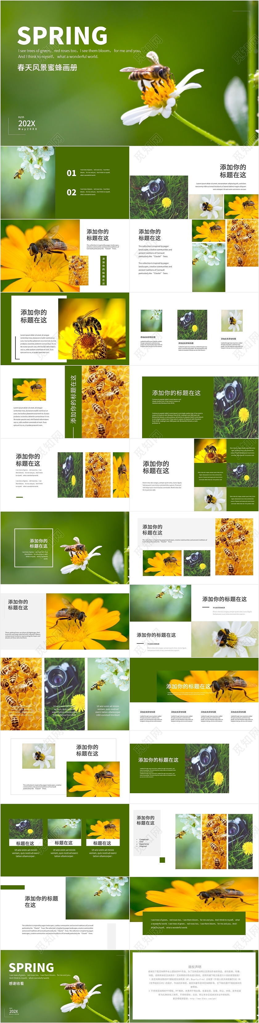 绿色大气简约春天蜜蜂旅游风景相册纪念册PPT模板