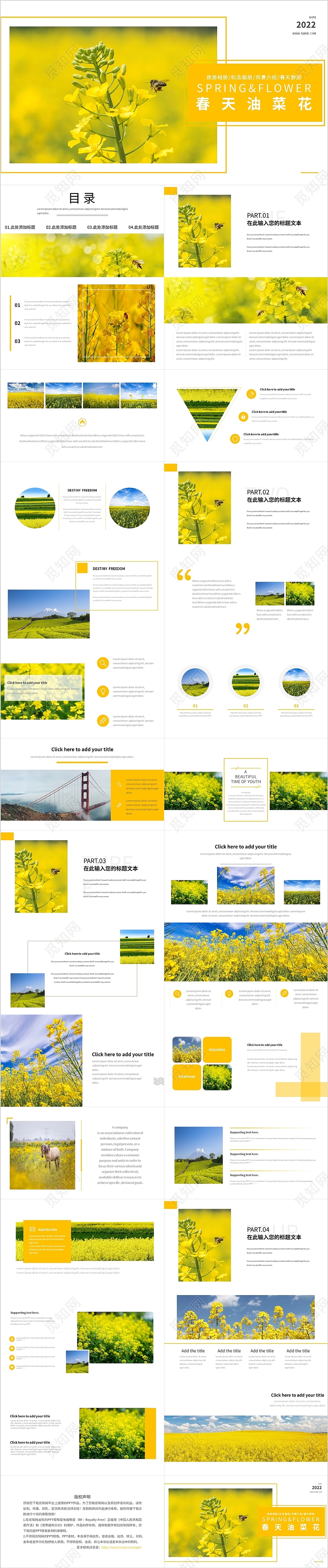 黄色唯美春季旅游油菜花相册模板春天