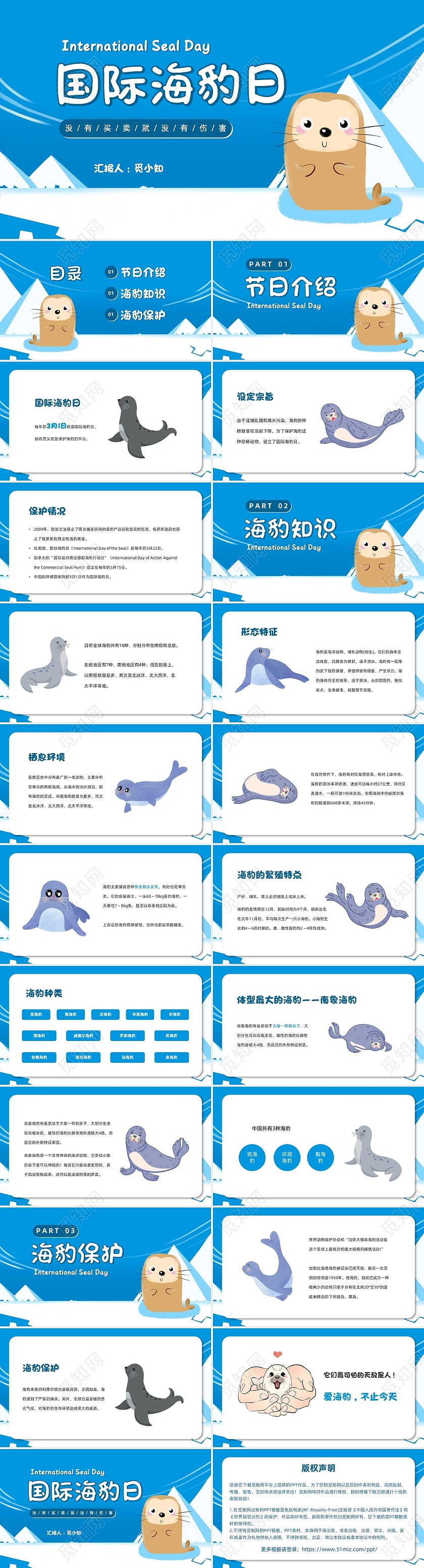 蓝色卡通极地国际海豹日宣传PPT模板