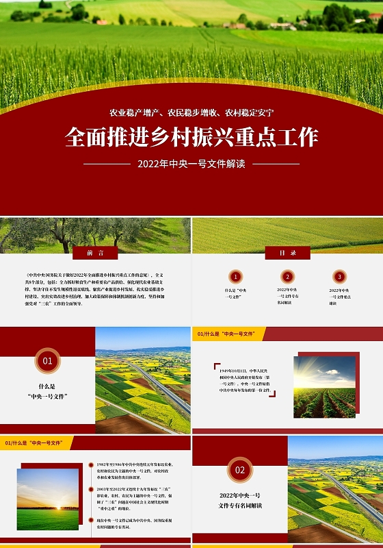红色实拍风中央一号文件解读PPT模板中央会议