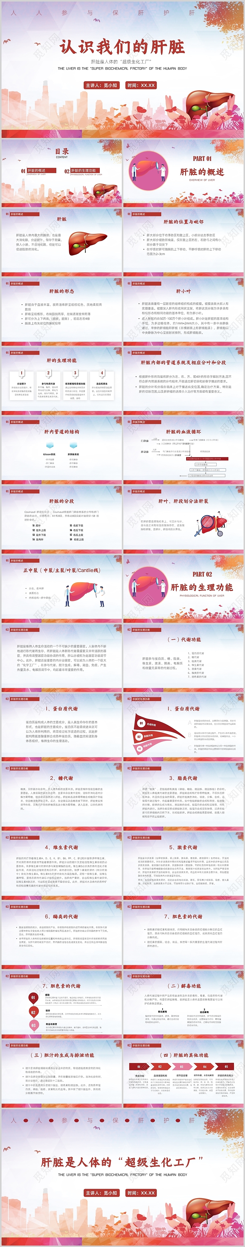 红色简约世界爱肝日认识我们的肝脏培训PPT模板