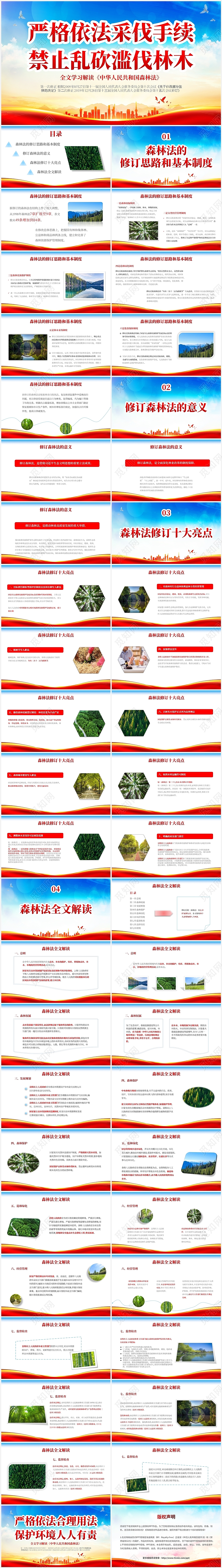 2022红色实图党建风中国森林法全文学习解读演讲活动培训模世界森林日