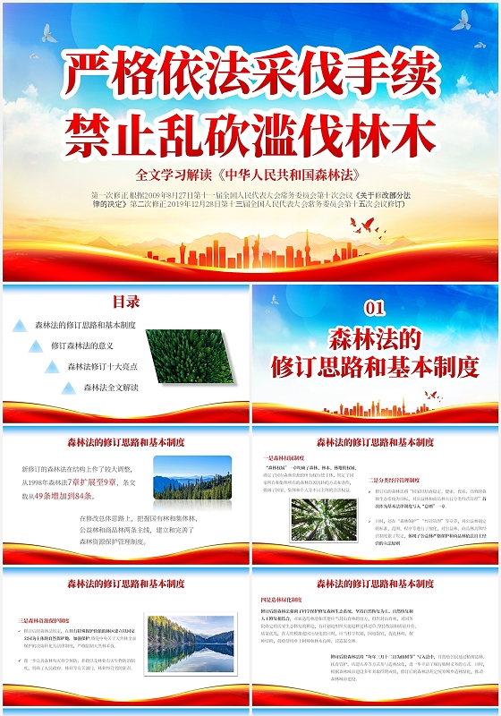 2022红色实图党建风中国森林法全文学习解读演讲活动培训模世界森林日