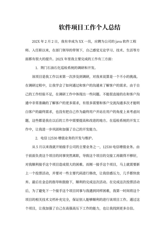 202X年软件项目工作个人总结