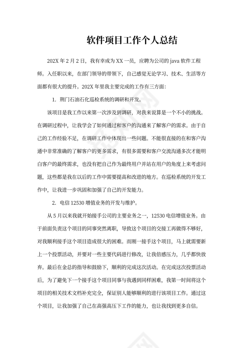202X年软件项目工作个人总结