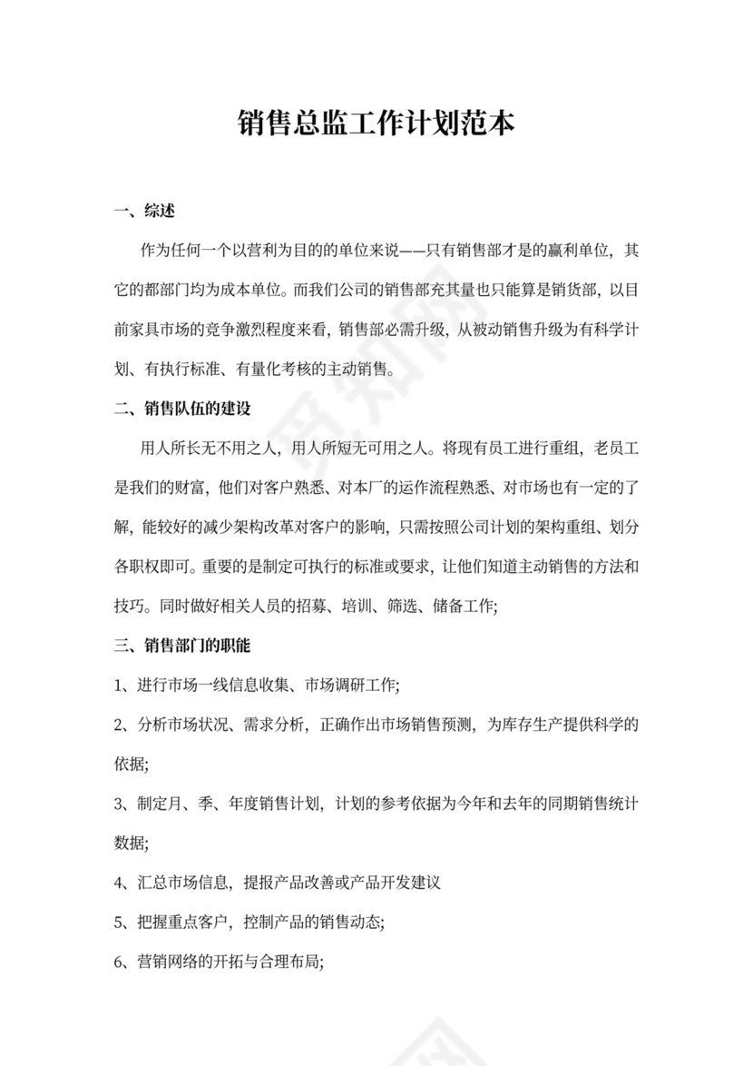 销售总监工作计划范本