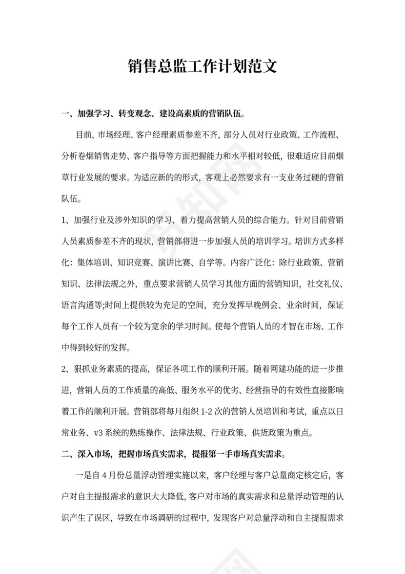 销售总监工作计划范文