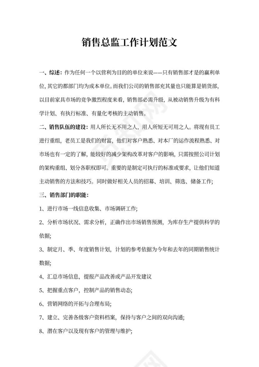 销售总监工作计划范文