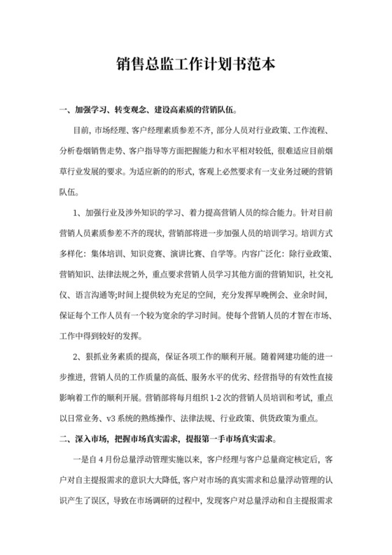 销售总监工作计划书范本