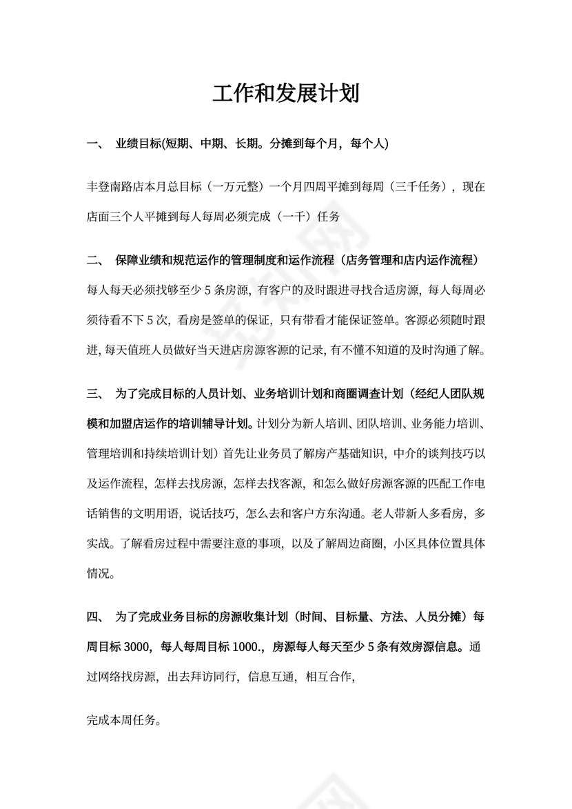 店长工作计划(新)