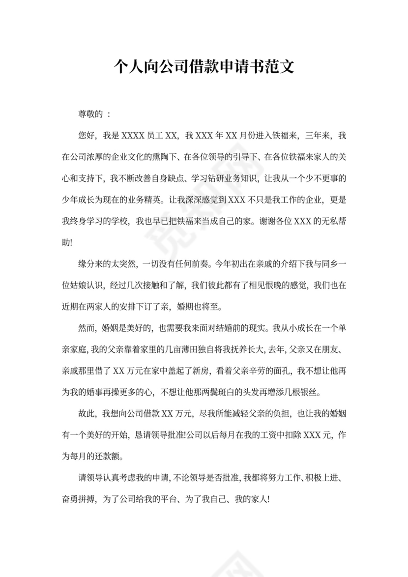 个人向公司借款申请书范文精选