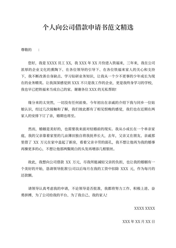 个人向公司借款申请书范文精选版