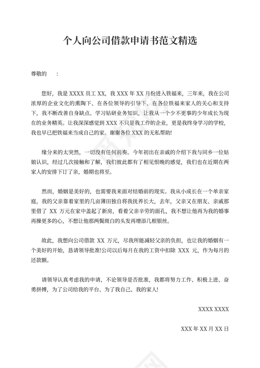 个人向公司借款申请书范文精选版