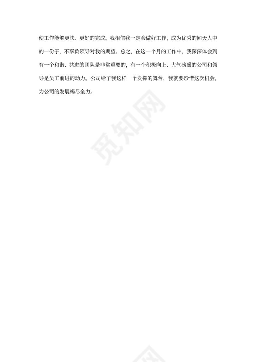 程序员试用期工作总结多篇