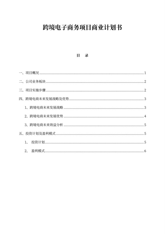 跨境电子商务项目商业计划书