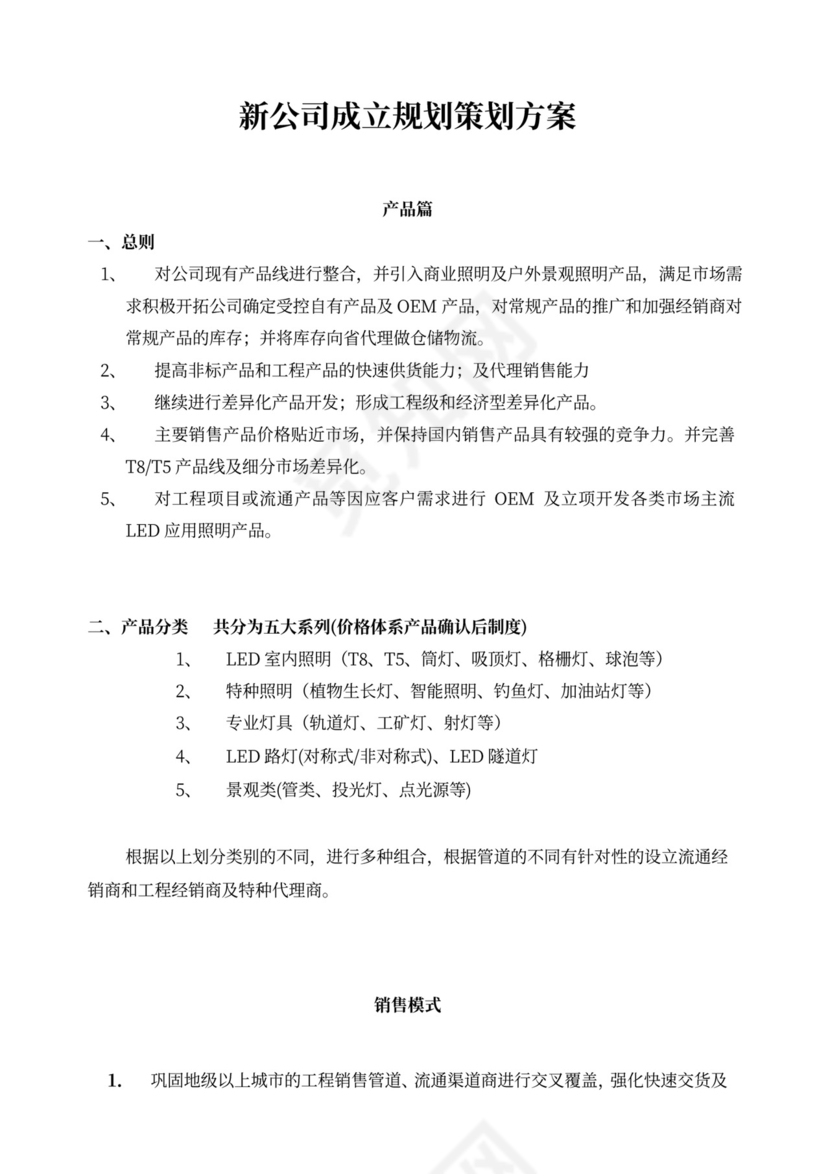 新公司成立规划策划方案