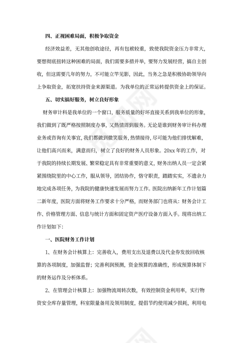 医院出纳新年工作计划