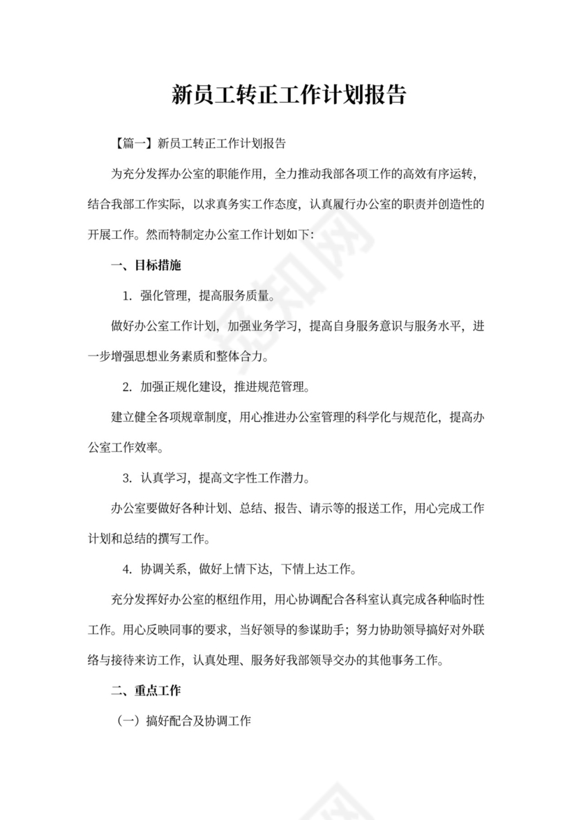 新员工转正工作计划报告