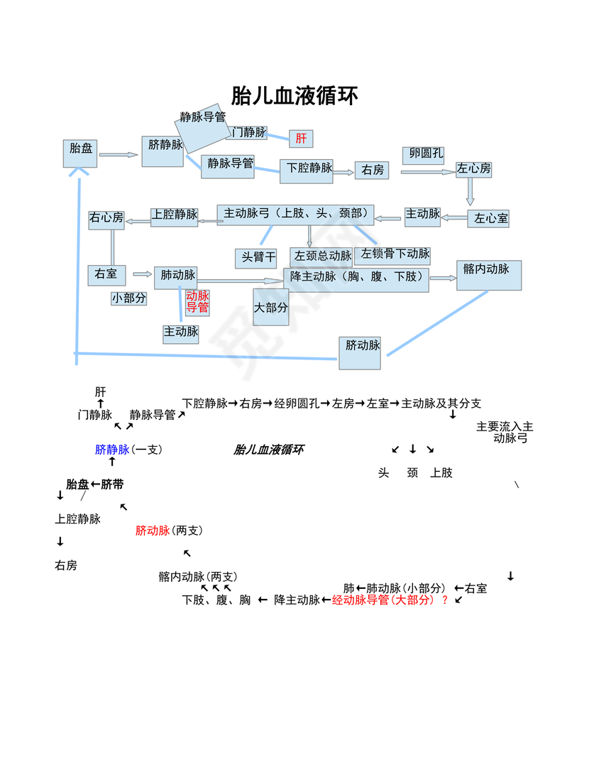 胎儿血液循环流程图