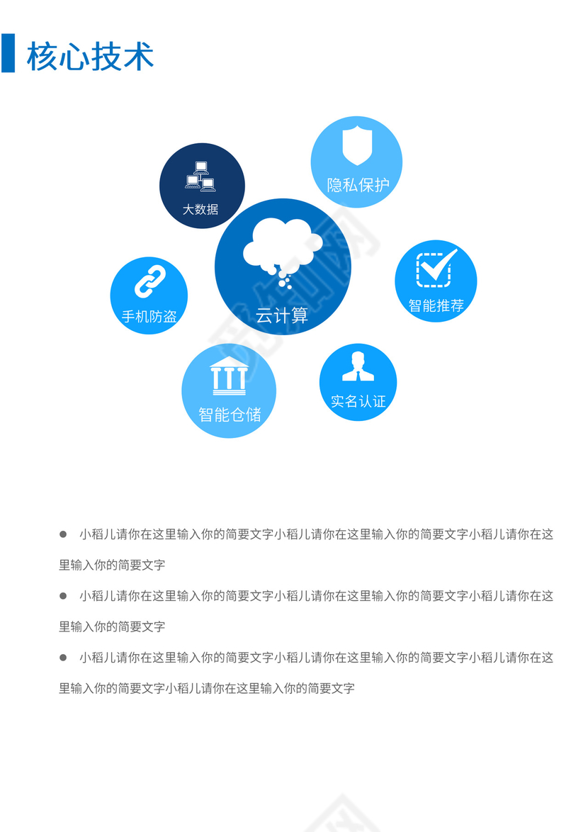 公司商业项目计划书模板