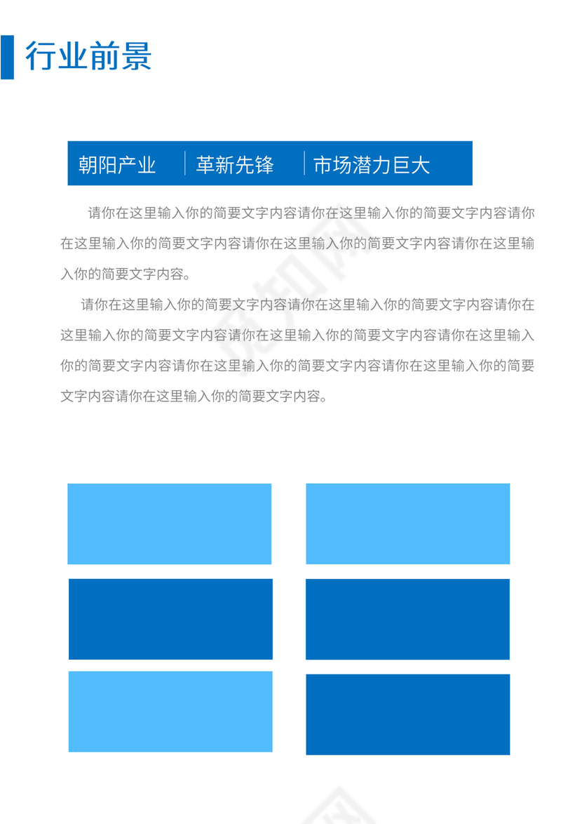 公司商业项目计划书模板
