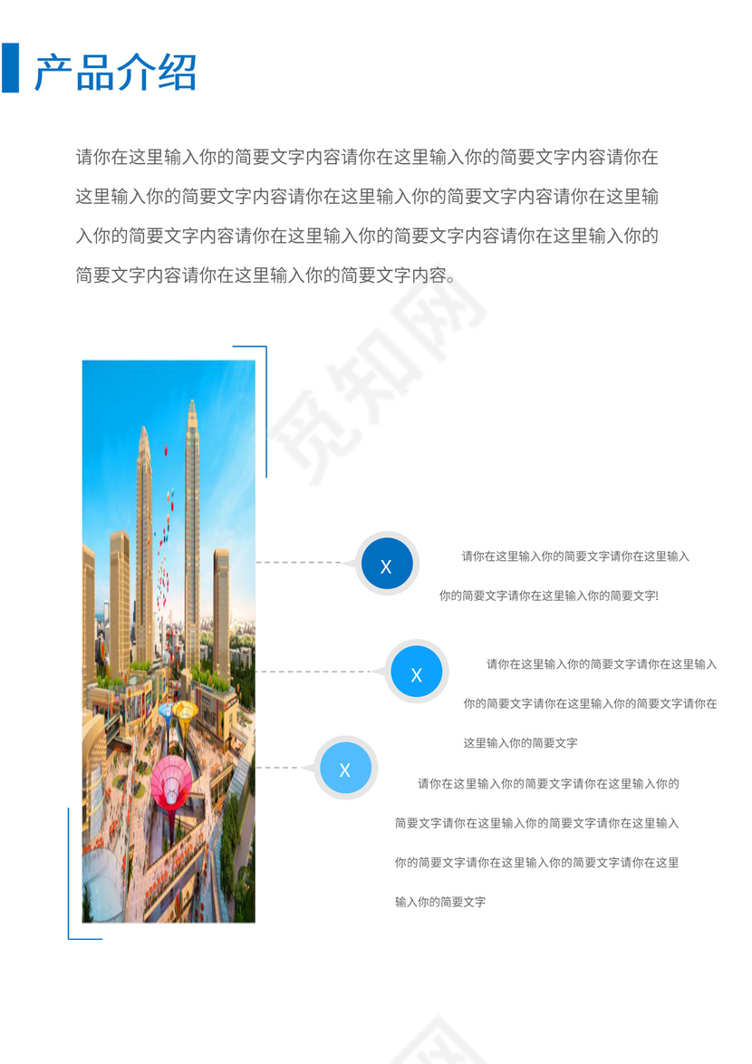 公司商业项目计划书模板