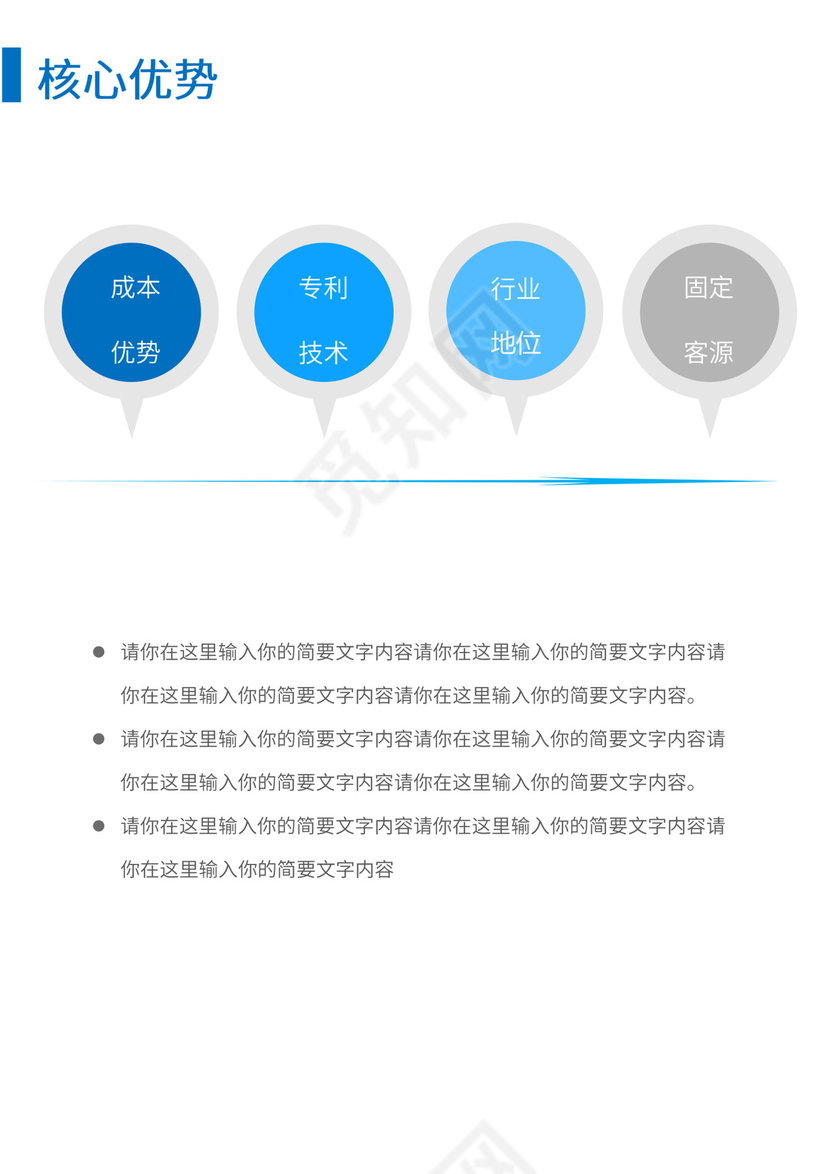 公司商业项目计划书模板