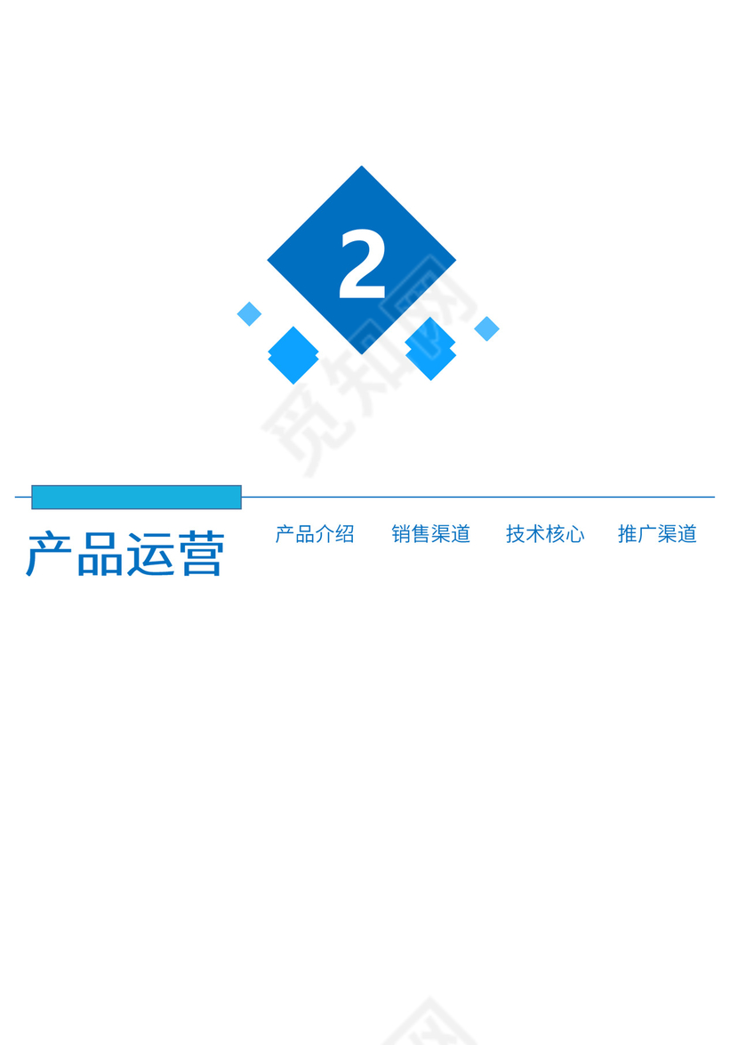 公司商业项目计划书模板