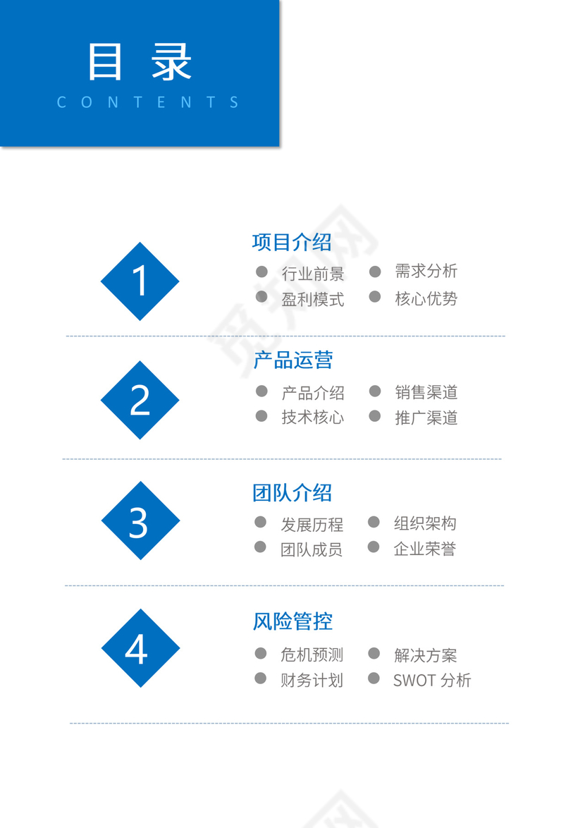 公司商业项目计划书模板