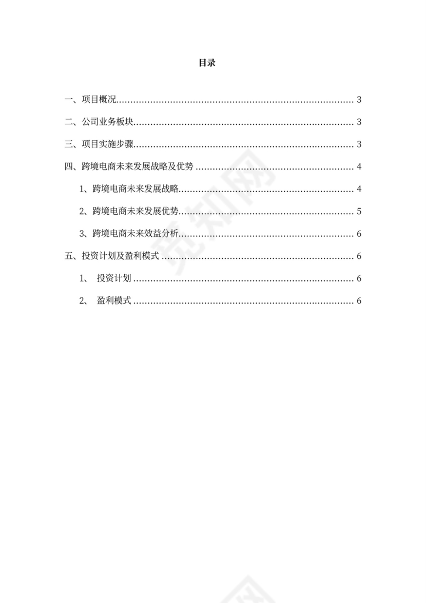 跨境电商商业计划书新