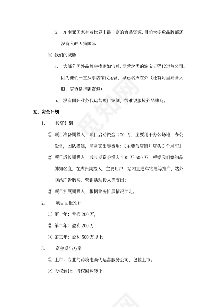 跨境电商项目商业计划书