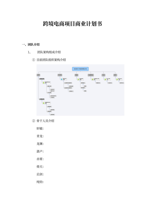 跨境电商项目商业计划书