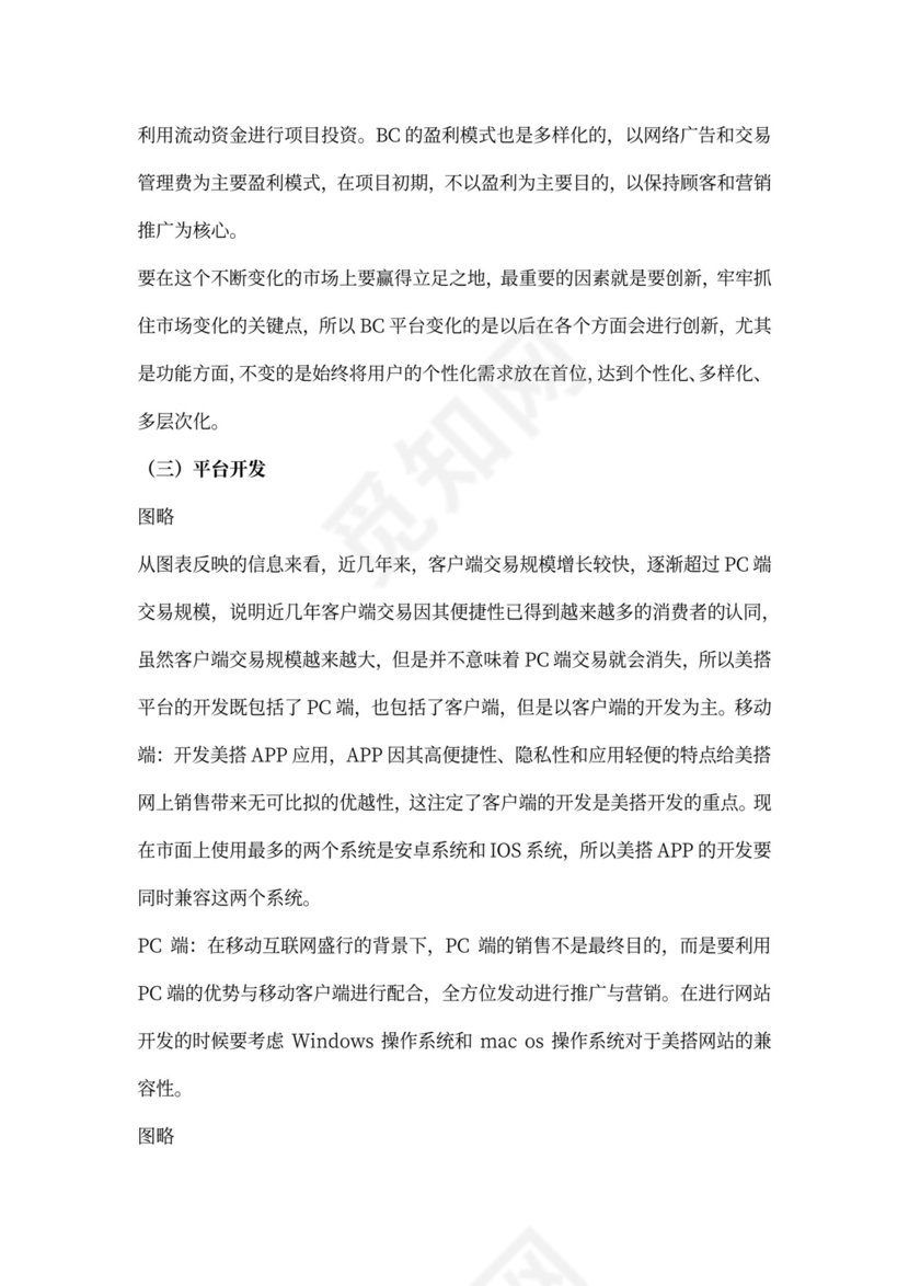 电子商务策划书新