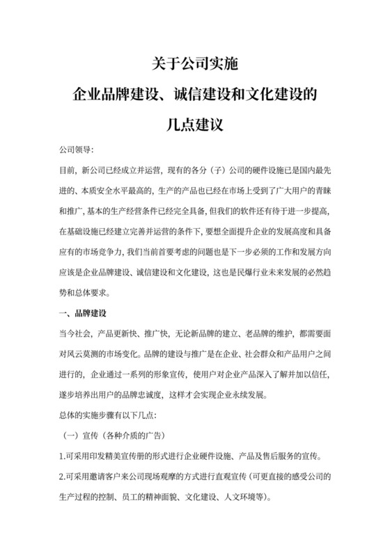 企业品牌建设方案