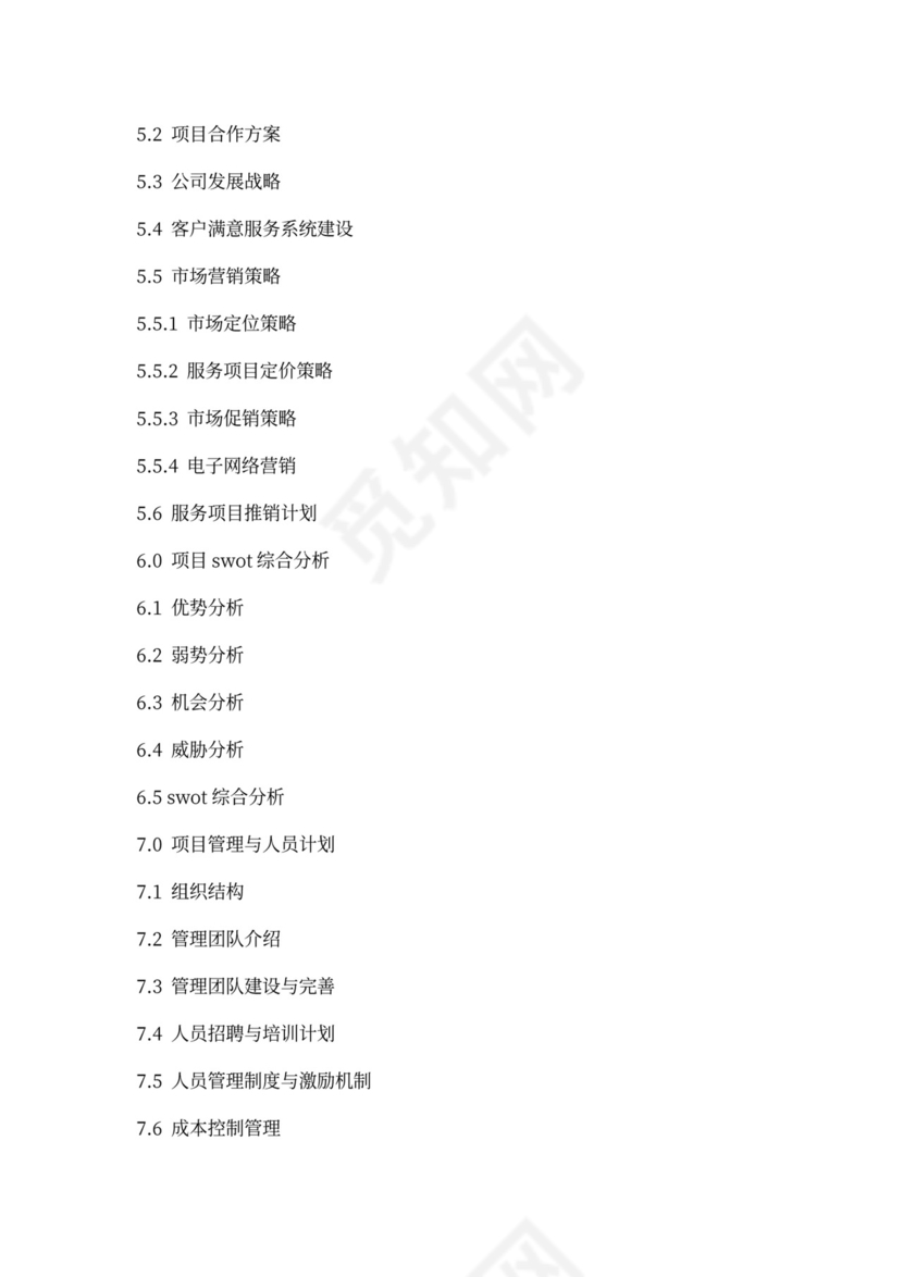 软件商业运营项目工作计划书word