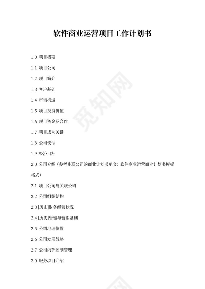 软件商业运营项目工作计划书word