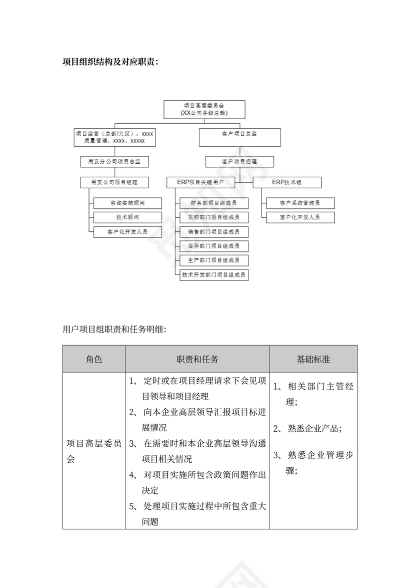 20xx年项目实施专题计划书