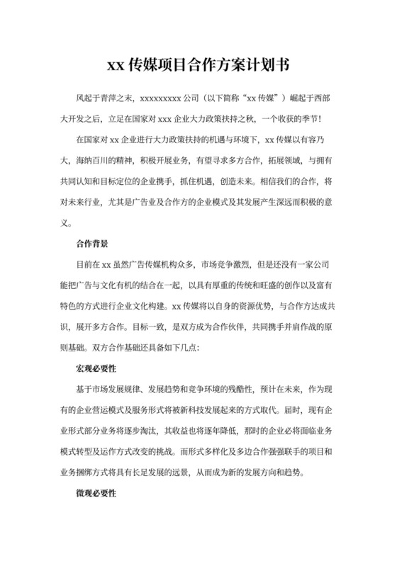 项目合作方案计划书